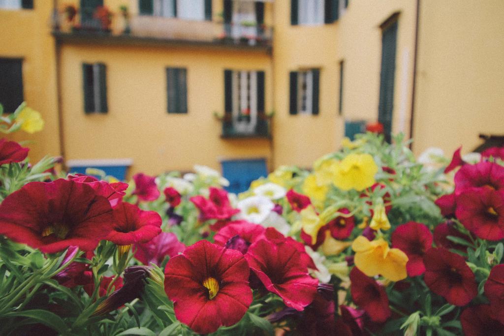 Bed and Breakfast Martindago Florencia Exterior foto